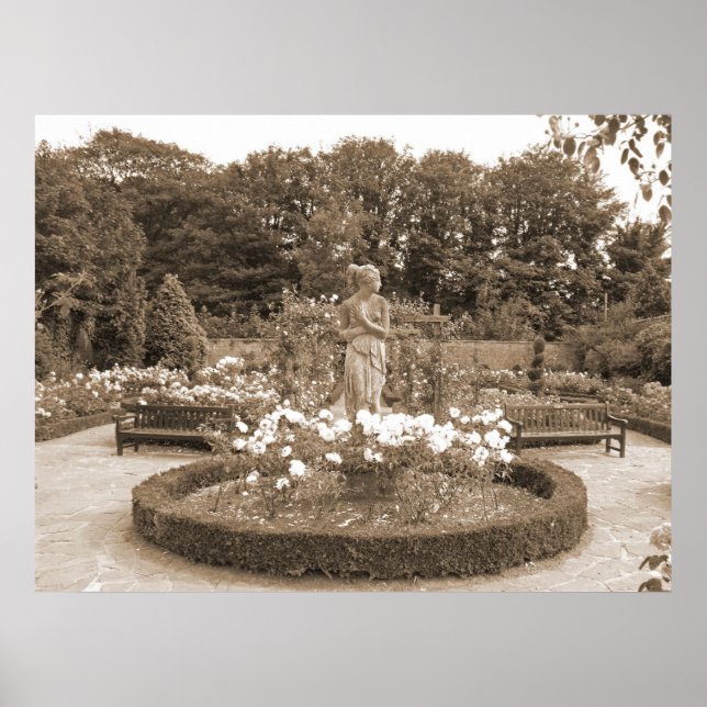 Shy Girl in the Roses Poster (Front)