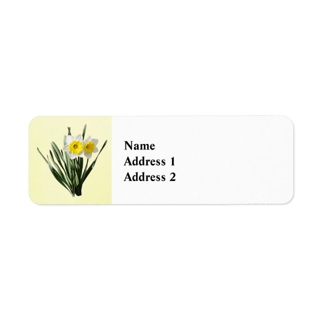 Shy Little Daffodil Label (Front)