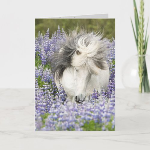 Shy Lupine Mare Horse Greeting Card