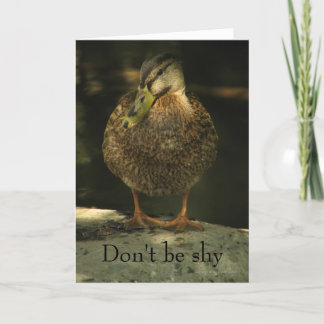 Shy Mallard Valentine's Day Card