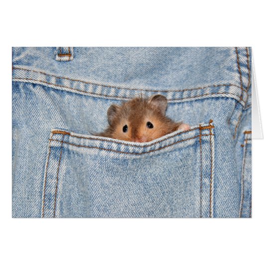 shy peekaboo (Front Horizontal)