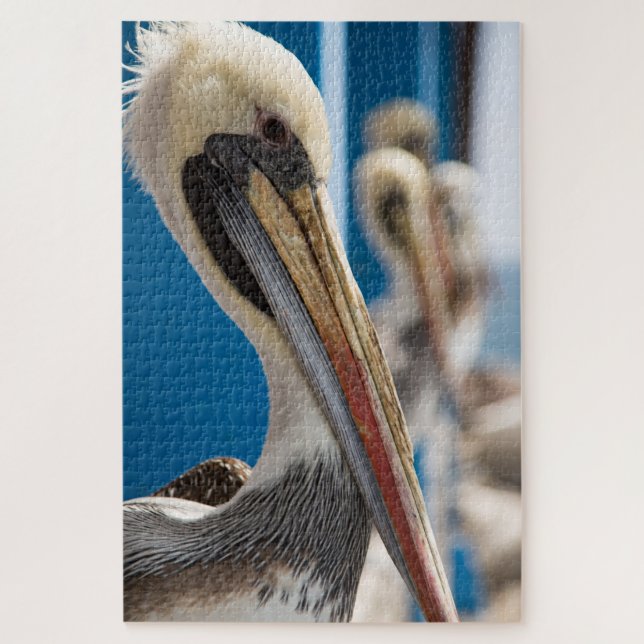 Shy pelican on the beach jigsaw puzzle (Vertical)