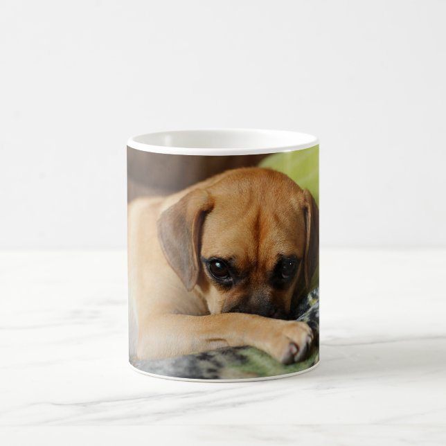 Shy puggle mug (Center)
