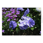 Shy Purple Pansies (Front Horizontal)