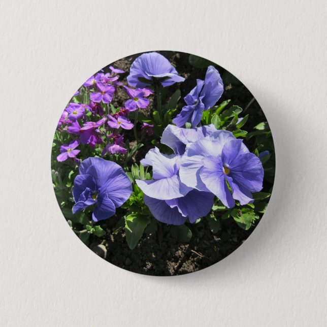 Shy Purple Pansies Button (Front)