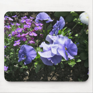 Shy Purple Pansies Mouse Pad