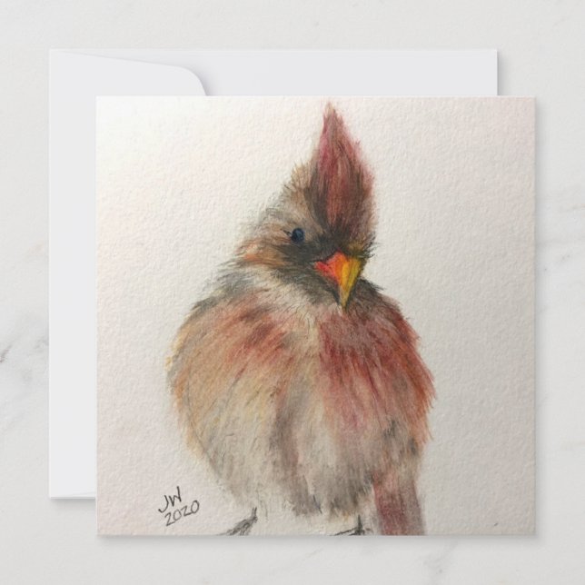 Shy Red Bird Note card (Front)
