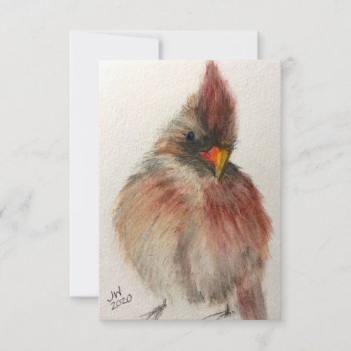 Shy Red Cardinal Note Card