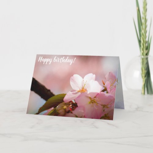 Shy Sakura Flower Shelters Itself Behind Blossoms Card