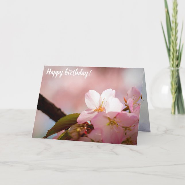 Shy Sakura Flower Shelters Itself Behind Blossoms Card (Front)