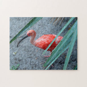 Shy Scarlet Ibis Jigsaw Puzzle