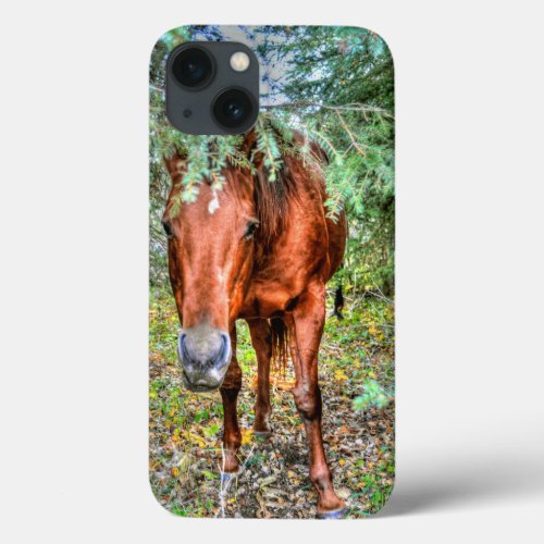 Shy Sorrel Mare  Trees Horse_lovers Equine Photo iPhone 13 Case