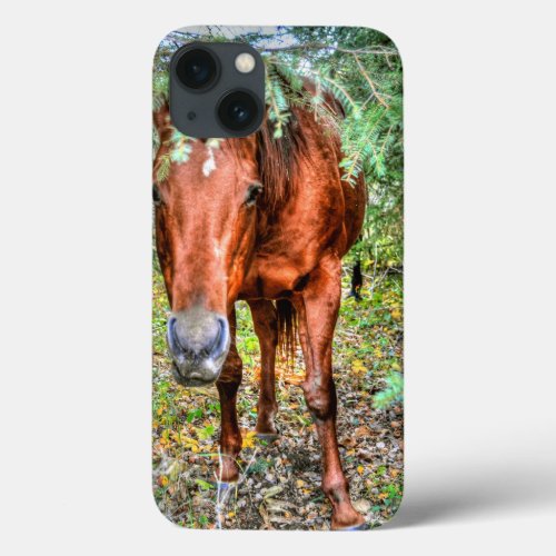 Shy Sorrel Mare  Trees Horse_lovers Equine Photo iPhone 13 Case