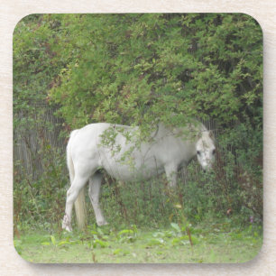 Shy White Horse Cork Coaster