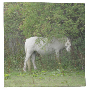 Shy White Horse Napkin
