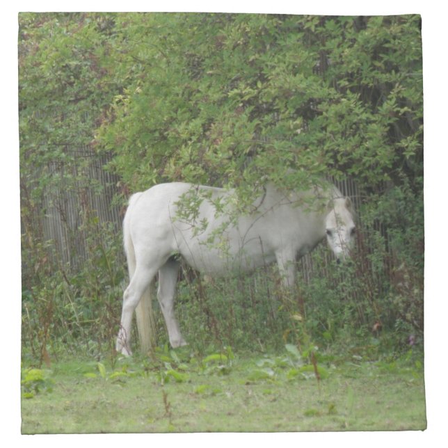 Shy White Horse Napkin (Front)