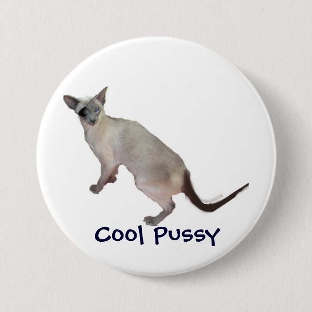 Siamese are cool, Cool Pussy Pinback Button (Front)