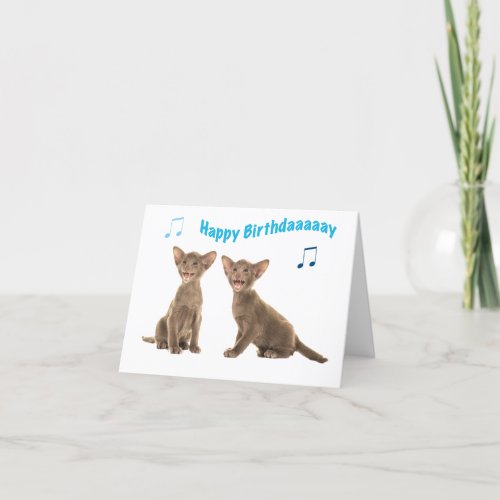 Siamese baby cats singing happy birthday card