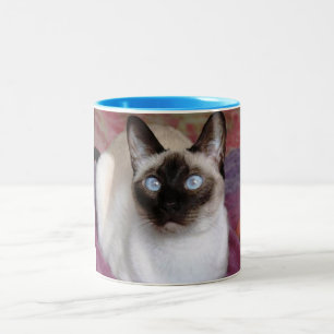 SIAMESE BEAUTY Two-Tone COFFEE MUG
