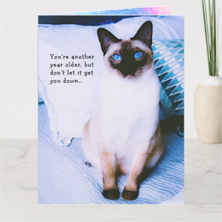Siamese Birthday Greeting Card