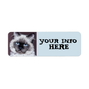 SIAMESE BLUE EYED PERSIAN RETURN ADDRESS LABELS