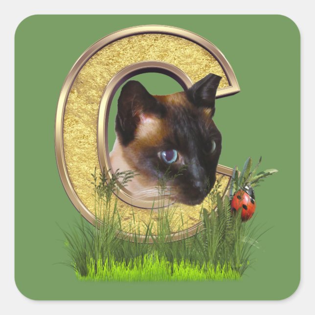 Siamese-Capital-Monogram letter C Square Sticker (Front)