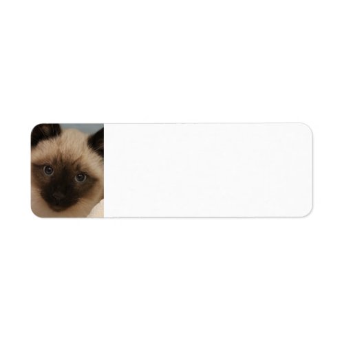 Siamese cat address labels