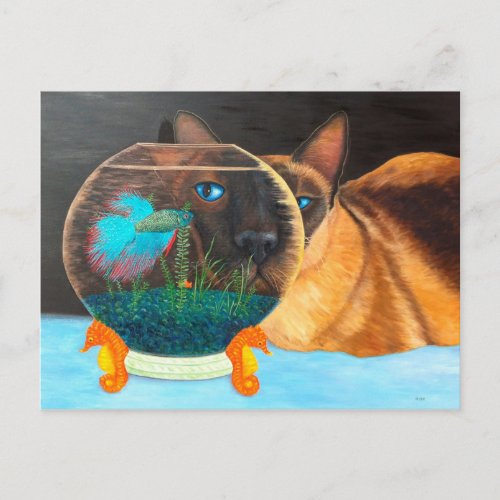 Siamese Cat and Betta Fish Postcard
