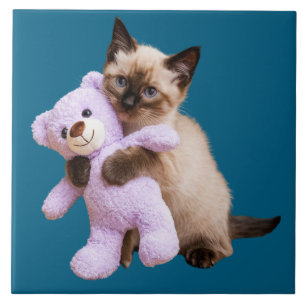 Siamese Cat and Teddy Bear Decorative Tile