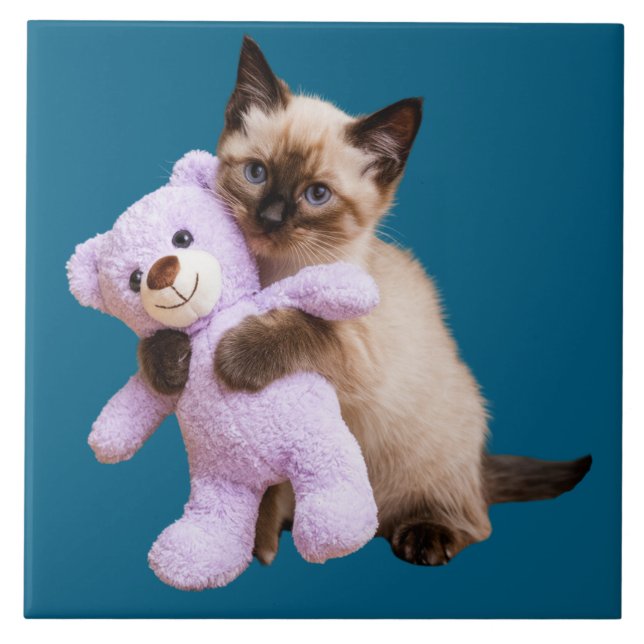 Siamese Cat and Teddy Bear Decorative Tile (Front)