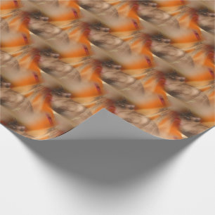 Siamese Cat Animal Pattern Wrapping Paper