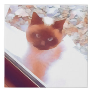 Siamese cat art faux canvas print
