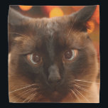 Siamese Cat Bandana<br><div class="desc">The beautiful face of a Siamese cat decorates this lovely bandana</div>
