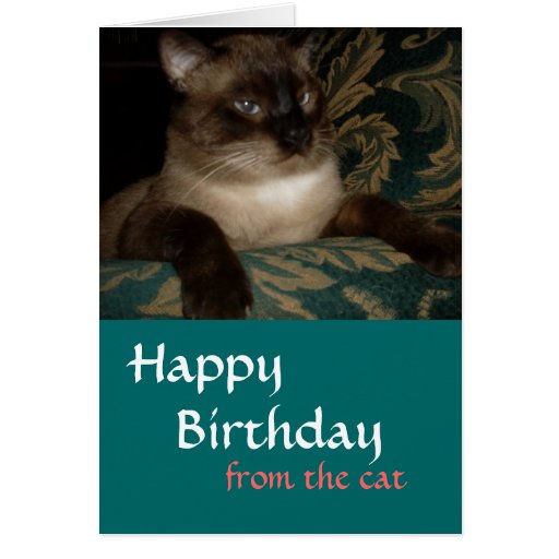 Siamese Cat Birthday Card | Zazzle