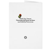 Siamese Cat Blue Butterfly Cute Card (Back)