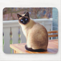 Siamese Cat, Blue Eyes Mouse Mat