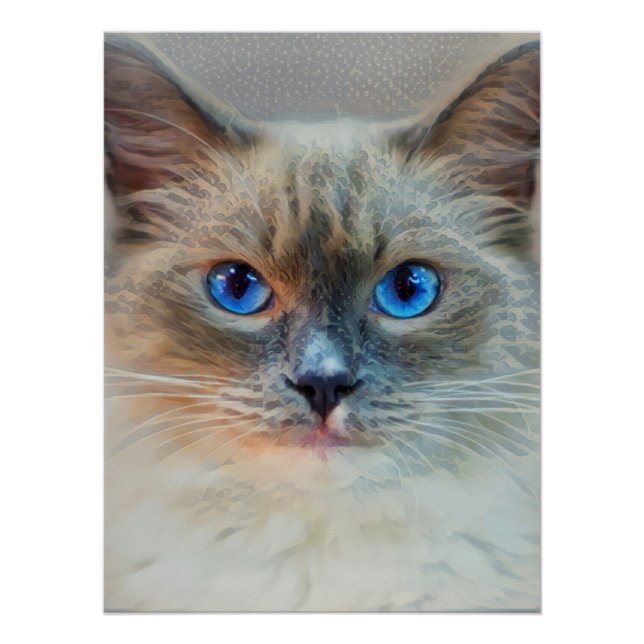 Siamese Cat-Blue Eyes Poster (Front)