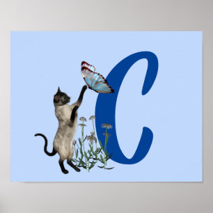 Siamese Cat Butterfly Monogram Initial C  Poster