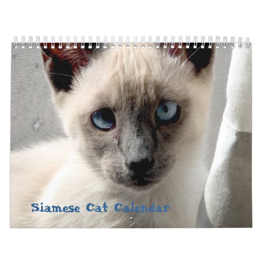 Siamese Cat Calendar