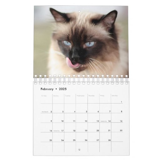Siamese Cat Calendar Zazzle Siamese Cat Calendar Zazzle
