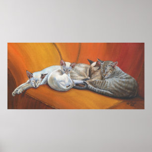 Siamese Cat Cats "Family Nap" Art poster