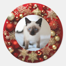Siamese cat christmas