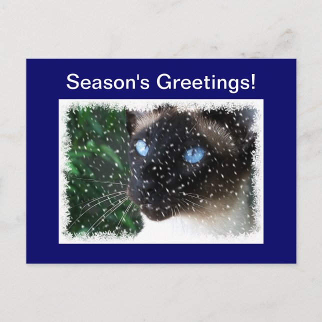 Siamese Cat Christmas Winter Holiday Postcard (Front)