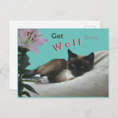 Siamese Cat Close Up Get Well Soon Postcard (Front/Back)