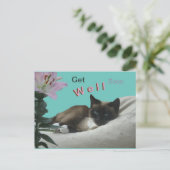 Siamese Cat Close Up Get Well Soon Postcard (Standing Front)