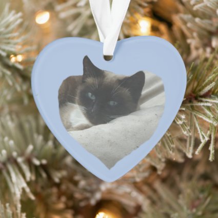 Siamese Cat Close Up Ornament