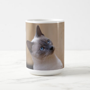 Siamese Cat Color Morph Mug