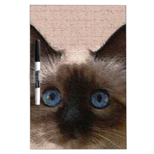 siamese cat crackle old aged cracked Hi Hello Dry Erase Board