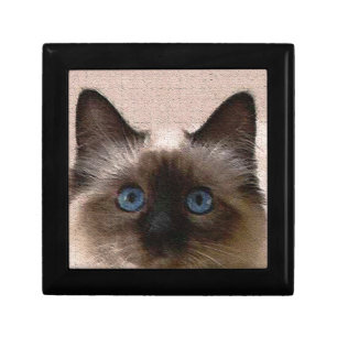 siamese cat crackle old aged cracked Hi Hello Gift Box
