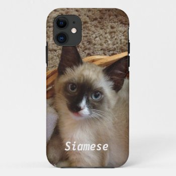 Siamese Cat Cute Iphone 11 Case by zzl_157558655514628 at Zazzle